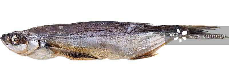 海鱼干零食图片素材