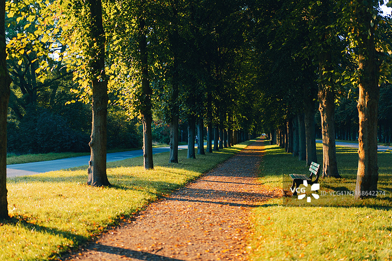 公园中的透视景象图片素材