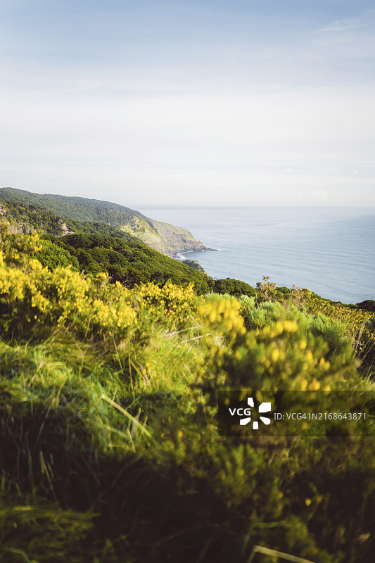 拉格伦沿海草地和崎岖景观海景，新西兰，大洋洲图片素材