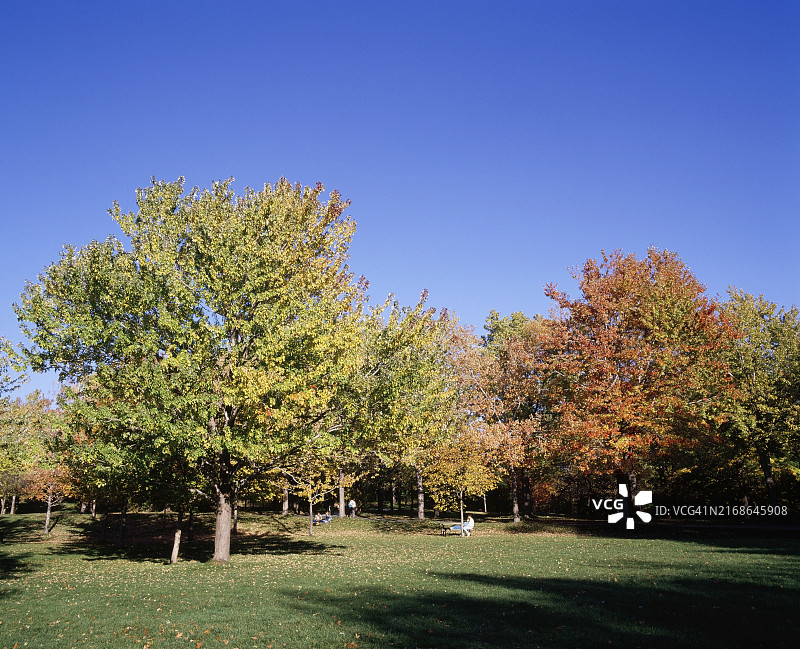 秋季蒙特利尔皇家山公园，加拿大魁北克图片素材