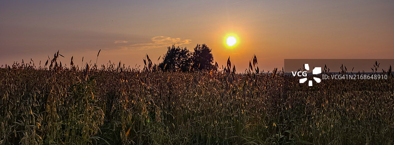 日落时田野对着天空的风景图片素材