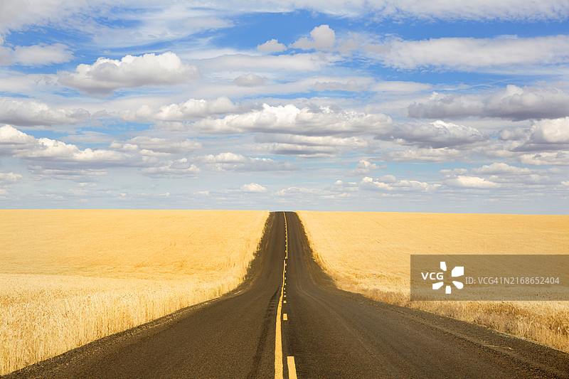 道路穿过麦田图片素材