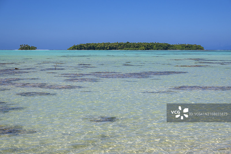 提提罗阿环礁泻湖中的葱郁景象，马龙·白兰度岛，法属波利尼西亚图片素材