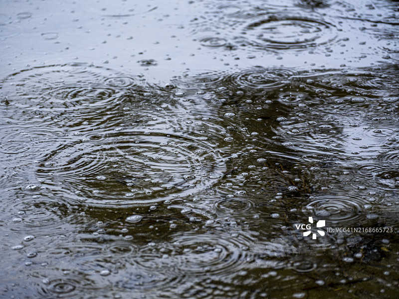 德国梅克伦堡-前波美拉尼亚州沙尔湖岸边的水滴图片素材