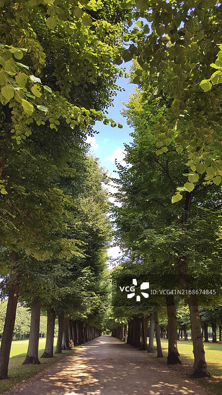 庭院花园图片素材