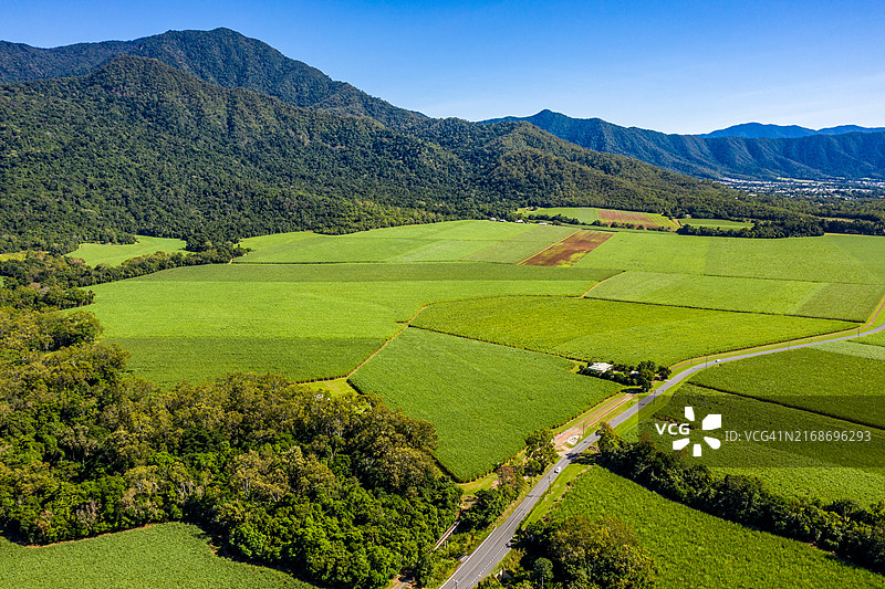 阳光明媚的日子里，甘蔗田延伸至山脉之下图片素材
