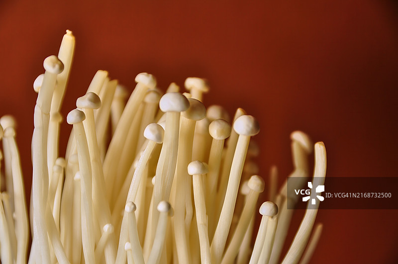 新鲜金针菇特写，可用于烹饪图片素材