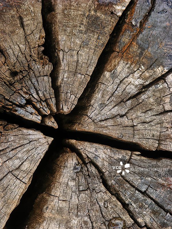 带有裂纹图案的腐烂木材特写图片素材