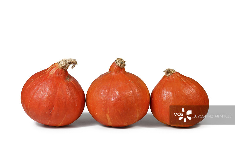 三个“红栗”南瓜，又称“北海道”南瓜图片素材