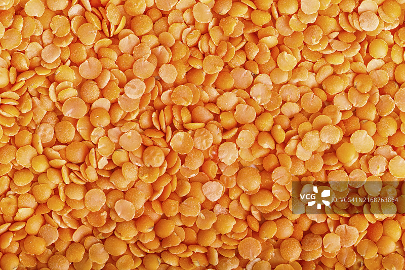 红扁豆的纹理（俯视）图片素材