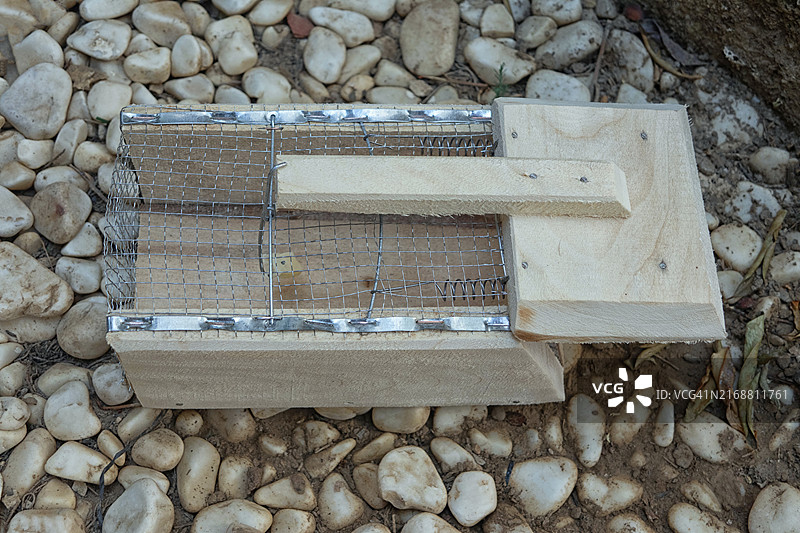 花园里的木制捕鼠器高角度景观图片素材