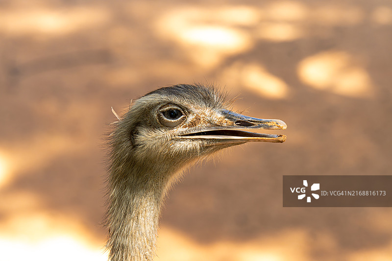 普通特写图片素材