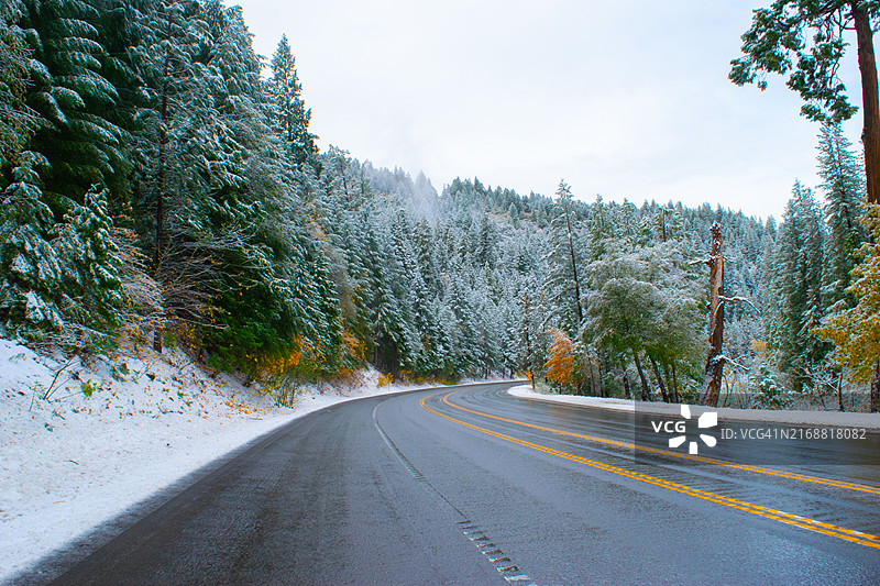 美国加利福尼亚州南太浩湖秋季树木中的空旷道路图片素材