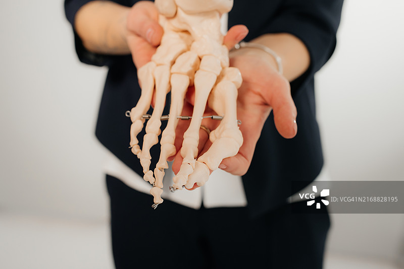 医生在骨骼模型上讲解足部手术图片素材