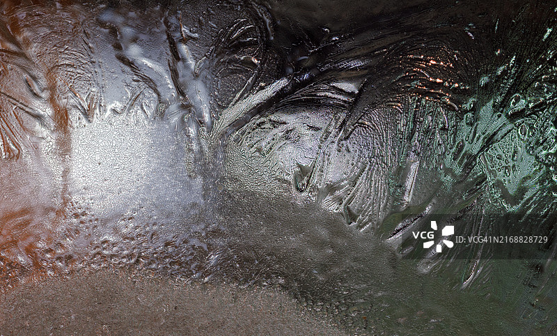 湿润树木特写图片素材