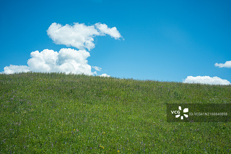 中国新疆那拉提草原的夏日风光图片素材
