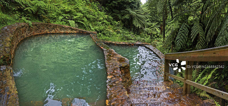 亚速尔群岛圣米格尔岛，由茂盛植物和蕨类植物环绕的Caldeira Velha温泉图片素材