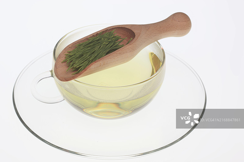 马尾茶，药茶，草药茶，药用植物，问荆，田野马尾或马尾草药图片素材