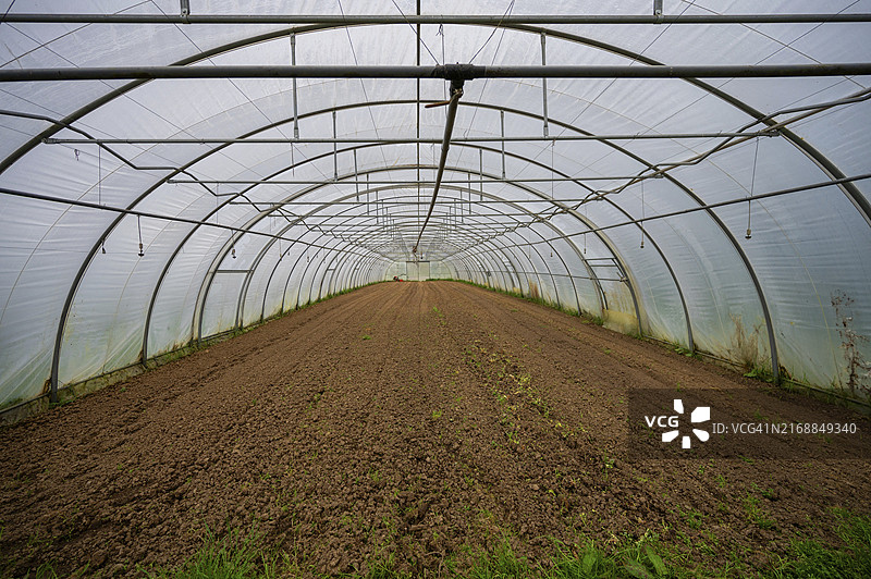 德国北莱茵-威斯特法伦温室隧道图片素材