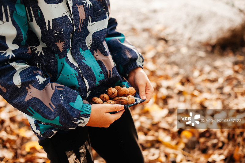 男孩手里拿着半个核桃图片素材
