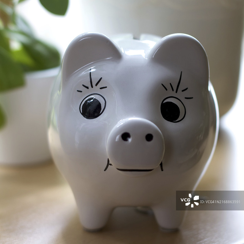 有趣的白色小猪储蓄罐与绿色植物背景图片素材