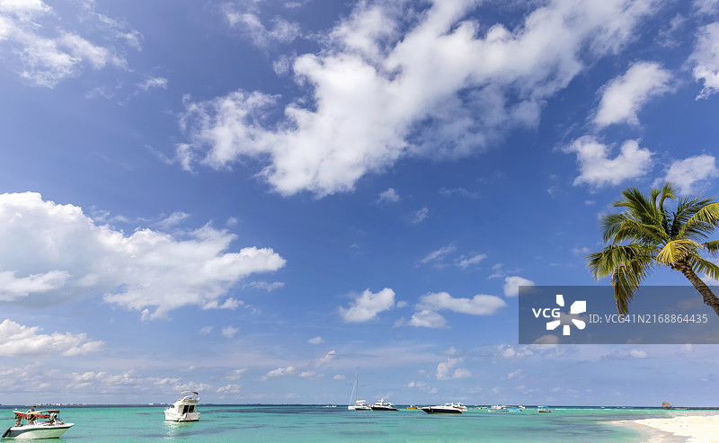 墨西哥坎昆女人岛，Playa Norte沙滩棕榈树等待游客图片素材