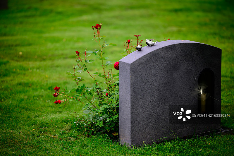 坟墓上美丽而优雅的玫瑰花图片素材