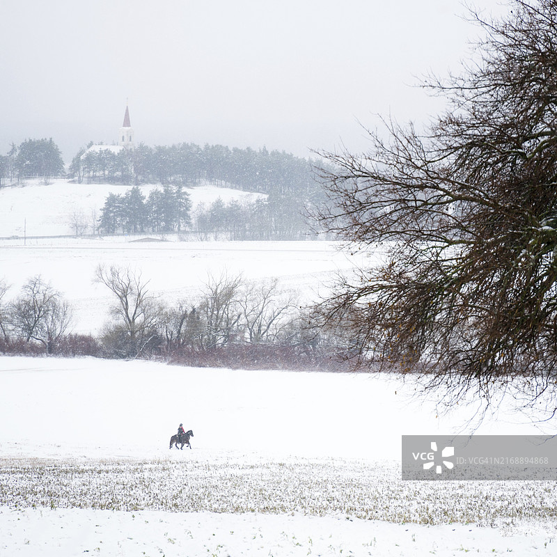 冬季骑乘四分之一英里马图片素材
