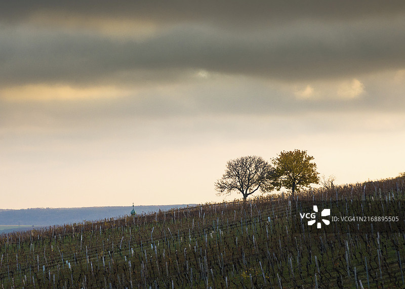 奥地利上普伦多夫区内肯马克特附近的葡萄园秋季日出景色图片素材