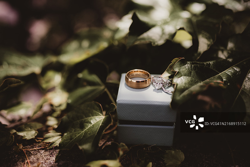 刻有文字的结婚戒指图片素材