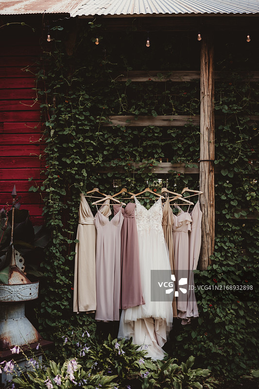 新娘婚纱与伴娘礼服图片素材