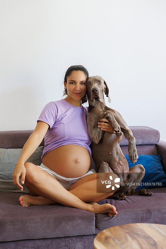 坐在客厅沙发上抱着狗展示腹部的孕妇图片素材
