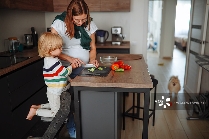 真实的母爱：怀孕的女人和蹒跚学步的儿子在以狗为主题的厨房里切蔬菜做沙拉图片素材