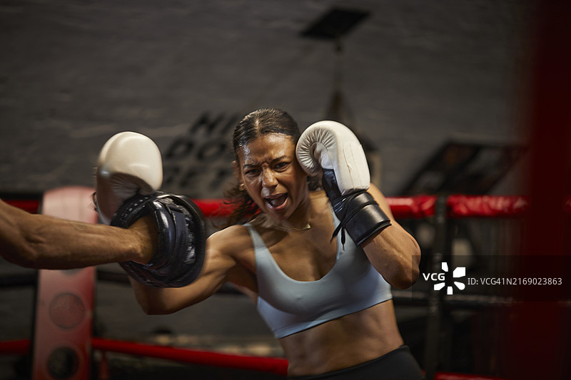 拳击垫训练图片素材