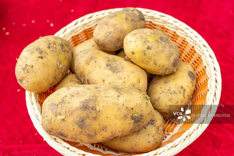 影棚拍摄的土豆图片素材