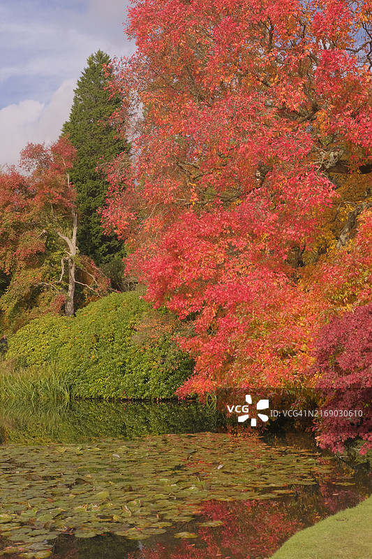 谢菲尔德公园的绚丽秋色图片素材