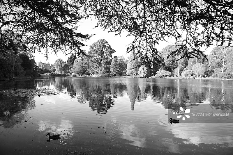 谢菲尔德公园湖图片素材