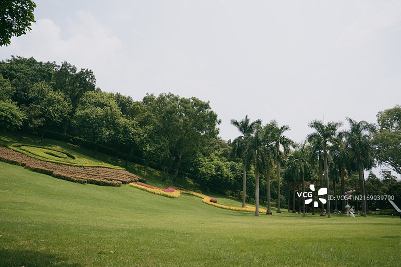 白云山大草坪图片素材