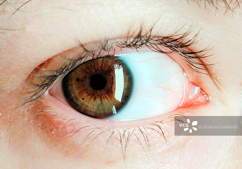人眼特写，美国弗吉尼亚州彭布罗克图片素材