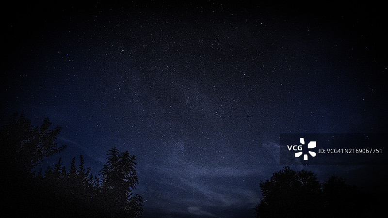 星空下的树木剪影图片素材