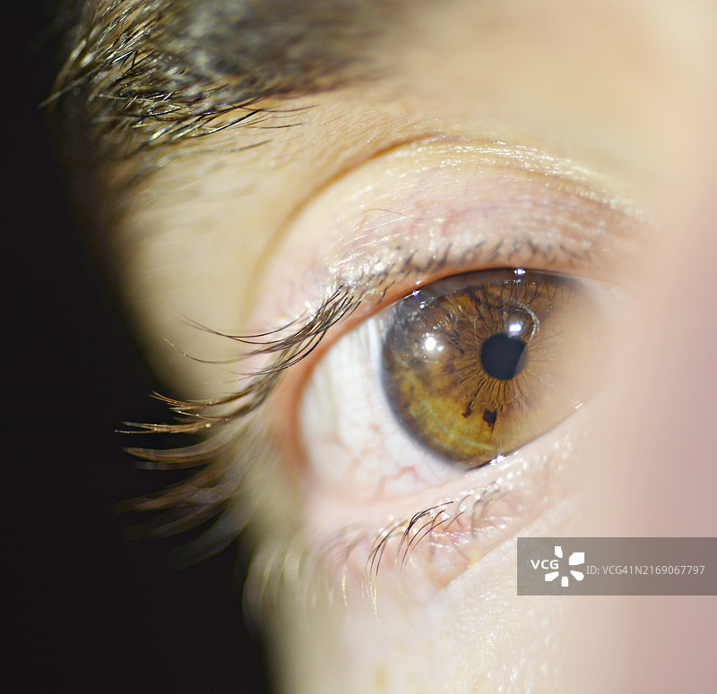 人眼特写图片素材