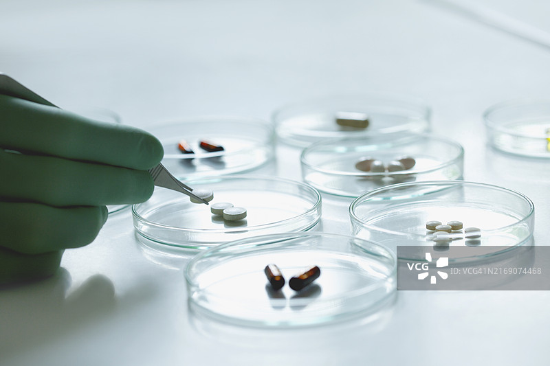 科学家用镊子在培养皿上夹药丸图片素材