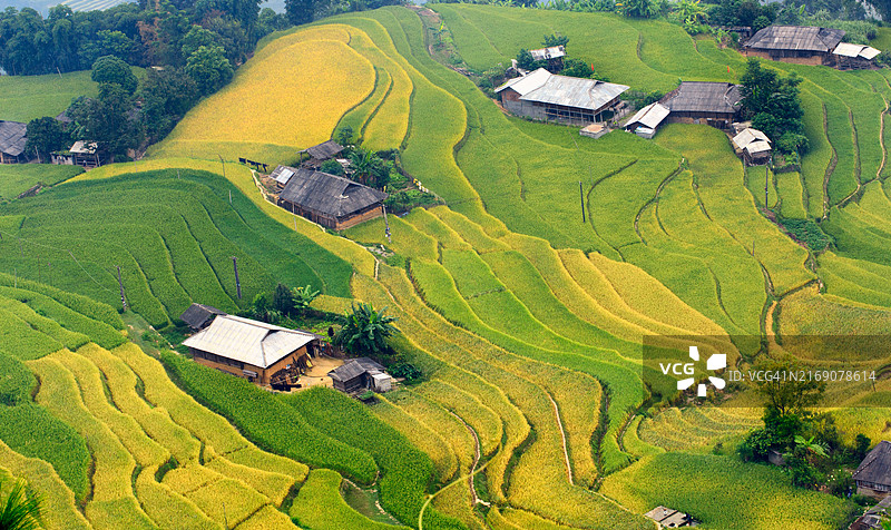 农田景色优美图片素材