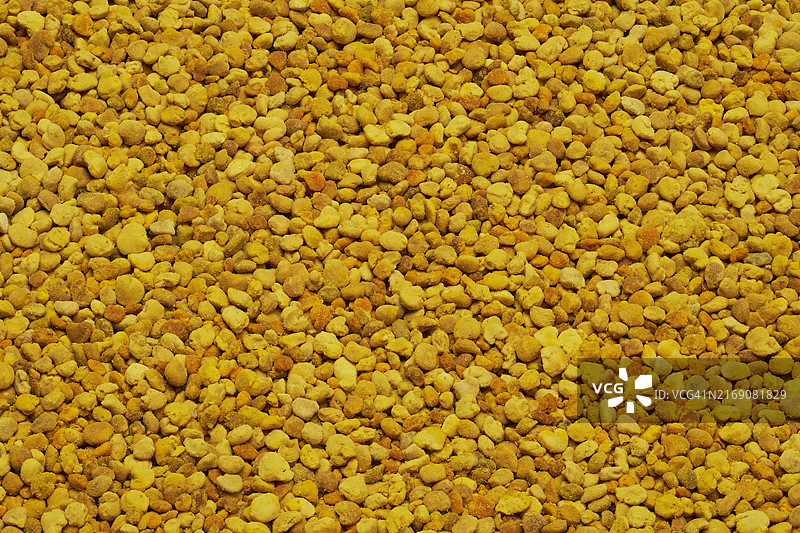 金黄色蜂花粉颗粒特写图片素材