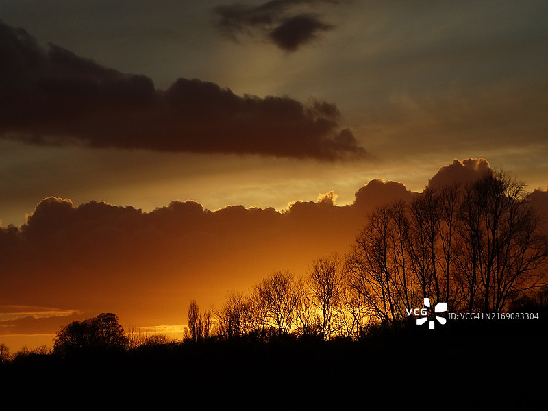 日落时天空下的树木剪影图片素材