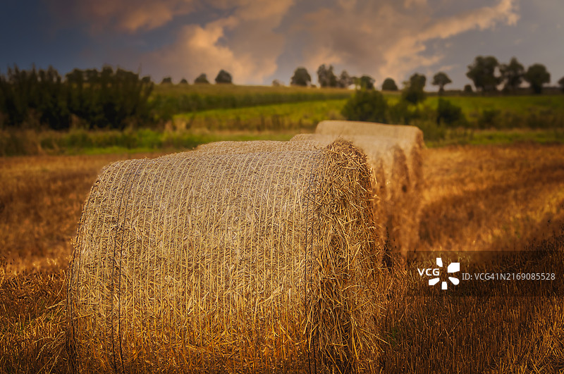 天空衬托下的田野风景图片素材