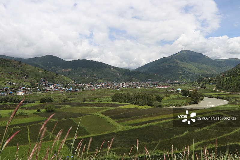 朱姆拉的卡洛马尔斯稻田图片素材