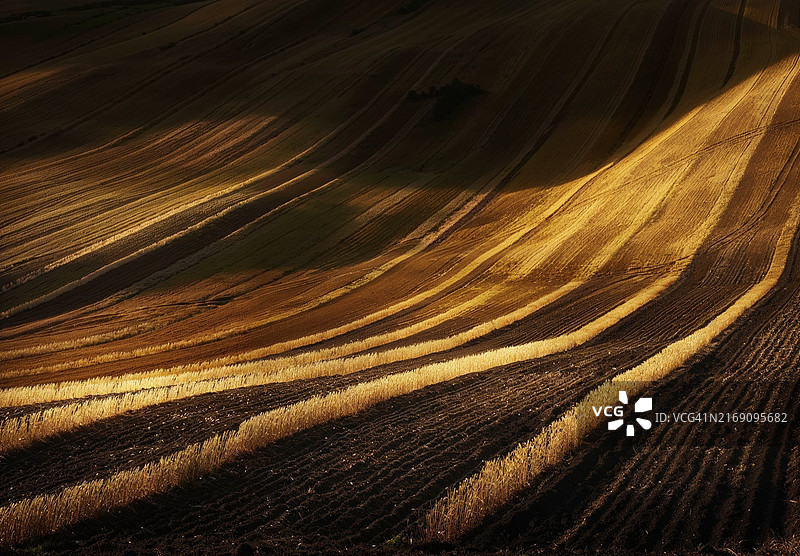 农田景色优美图片素材