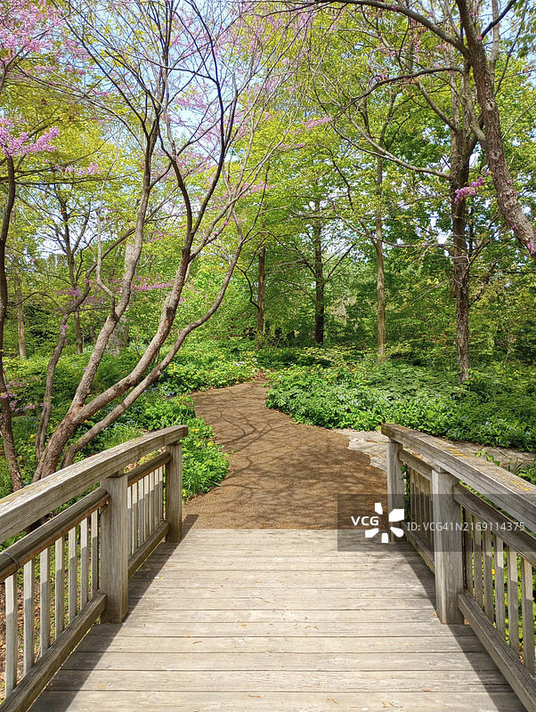 美国威斯康星州戴恩县公园的树木图片素材