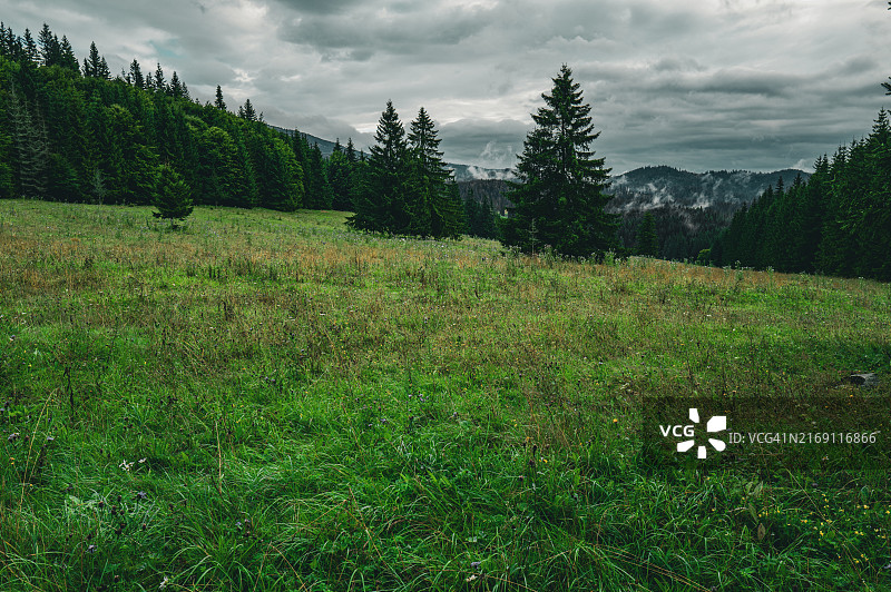 天空衬托下的田野风景图片素材